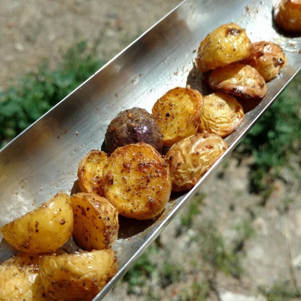 Wildland Fire Fighting Gear