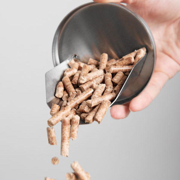 uuni wood-fired pizza oven